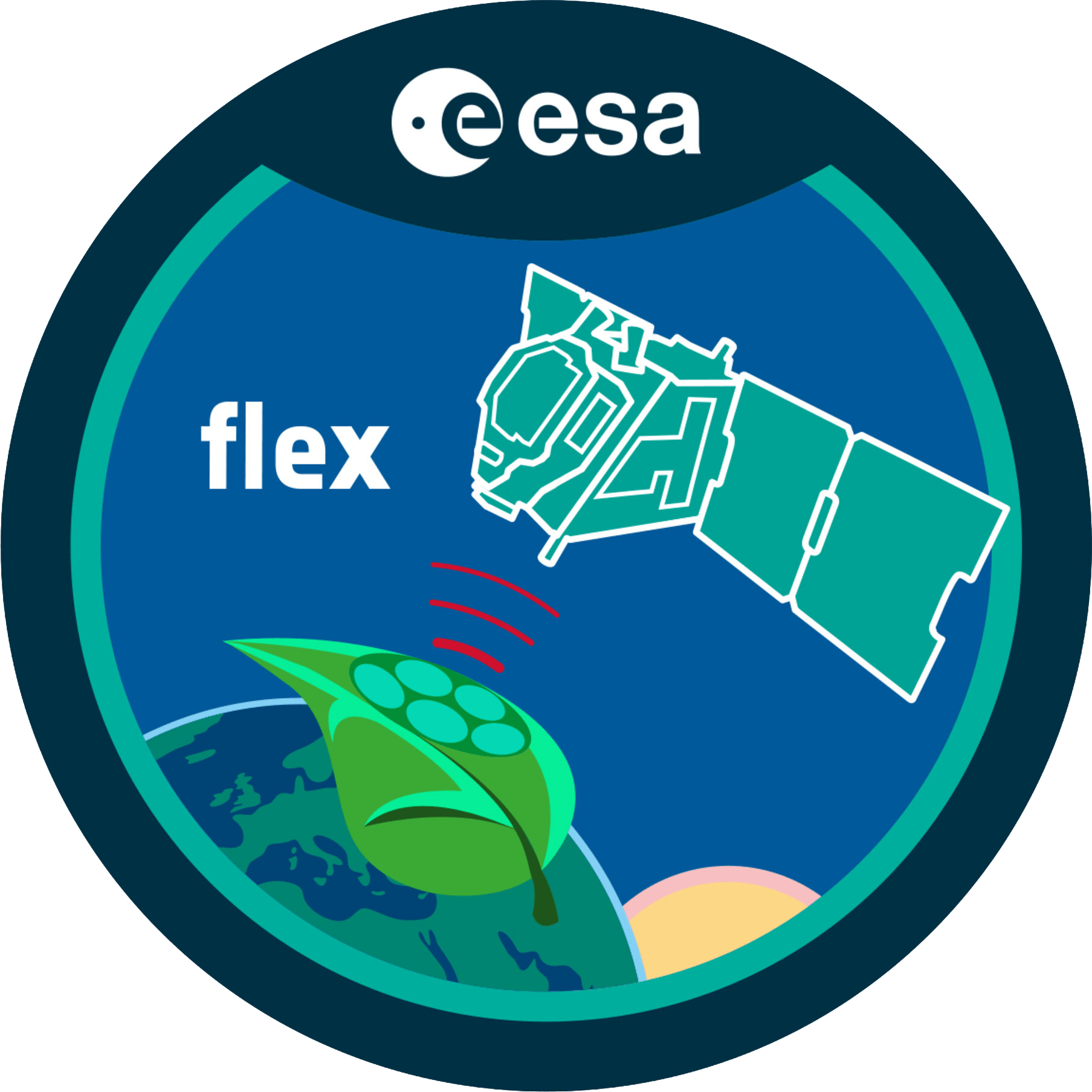 FLEX Mission Patch