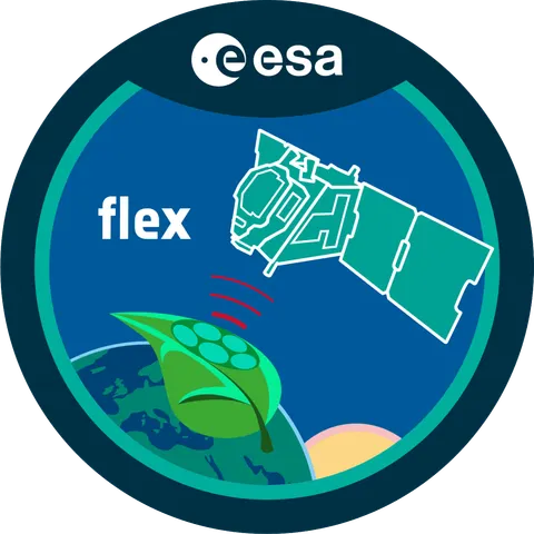 FLEX Mission Patch