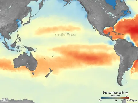SMOS salinity could offer early indicator of El Niño