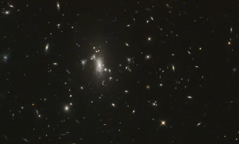 NASA’s Hubble Telescope Reaches Milestone, Looks for Elusive Supernova